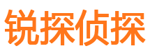 宝清市私人侦探